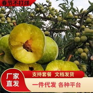 һ�����l�޽����Ә��m���A������Ó������t�����m�Ϸ������Nֲ