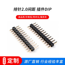 ���2.0�g�� ���DIP