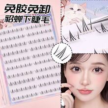 10�����s�����½�ë�ٽ�ë��Ȼ���������ˋ������ֶܷ�ǧ������