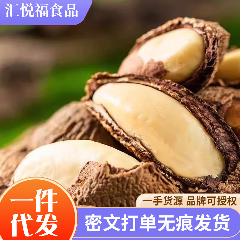 代发500g鲍鱼果巴西果仁带壳坚干果沙漠果大颗粒非新疆特产鲍鱼果|undefined