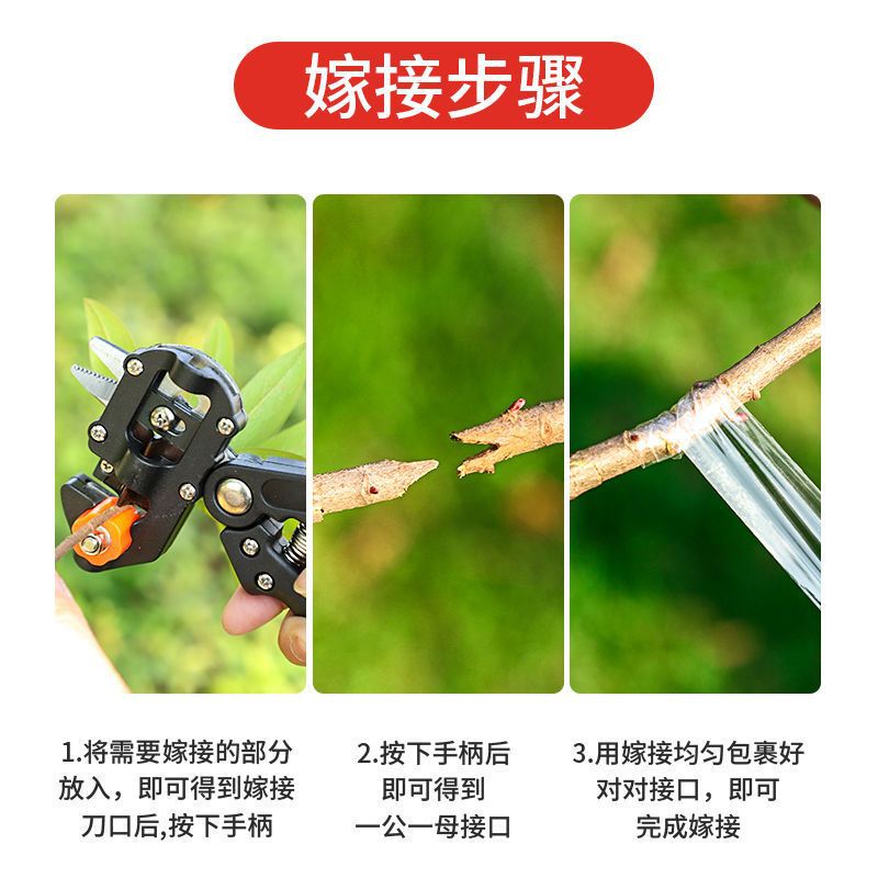 剪定苗木接ぎ木機接ぎ木道具果樹接ぎ木機接ぎ木刀|undefined