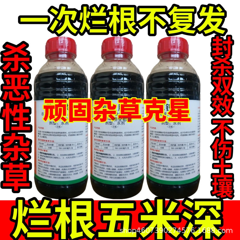 一次烂根不复发精草铵膦铵盐除草草安草铵磷草胺磷除牛筋草小飞蓬