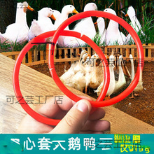 �W�t��Ȧ�R���״��Z���ӿ�������Ȧ�p�|Ȧ�A�hȦ�ؔ������Ԏ����^