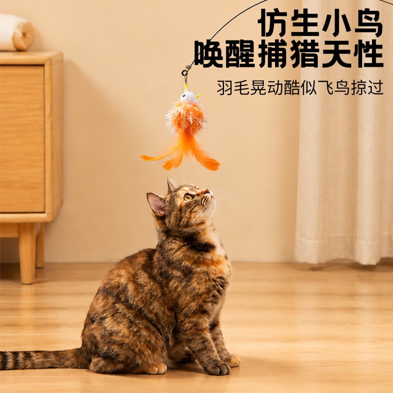 Extra-long cat teaser wand, replaceable with glitter bird, steel wire, and feather teaser wand, a pet toy for cats to entertain themselves and relieve boredom