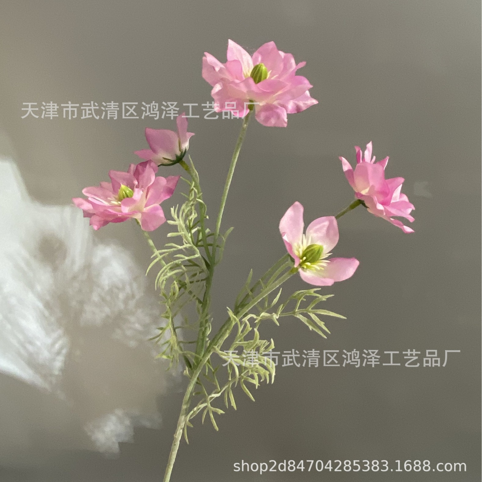 밝은 보라색