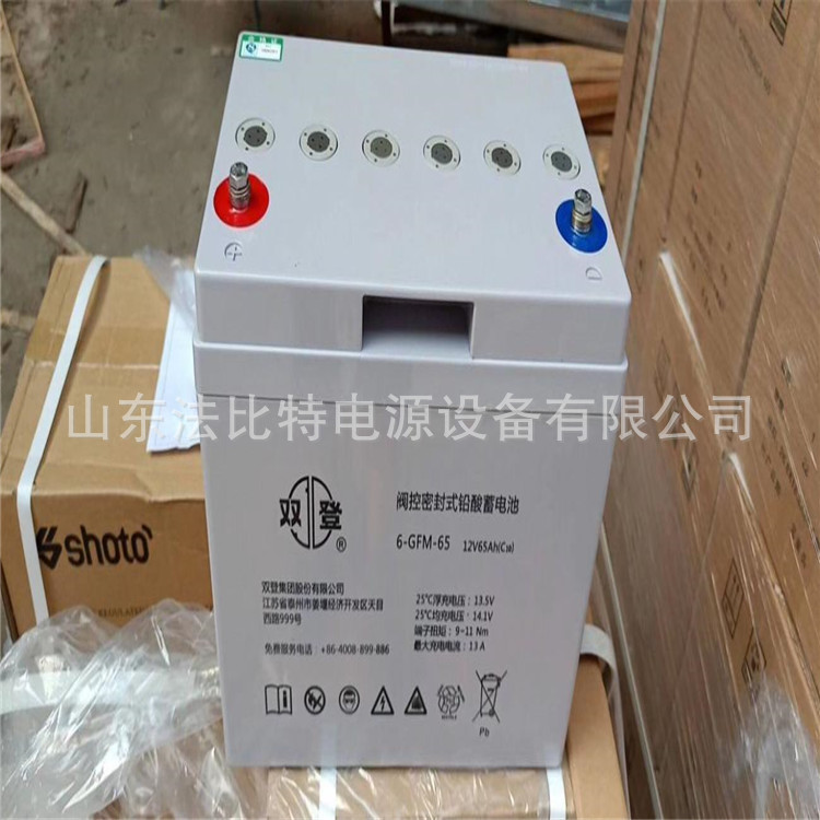 湖南双登蓄电池6-GFM-65免维护12V65AH/EPS直流屏 双登6-GFM-65