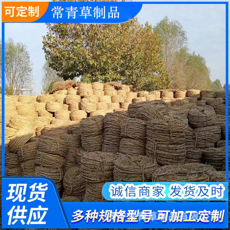 厂家供应冬季防寒草绳 捆扎树木稻草绳 园林绿化手工粗细捆扎绳