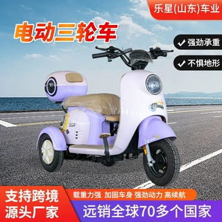 加宽储物箱电动三轮车大容量后备箱农用电瓶车日常货运电动代步车