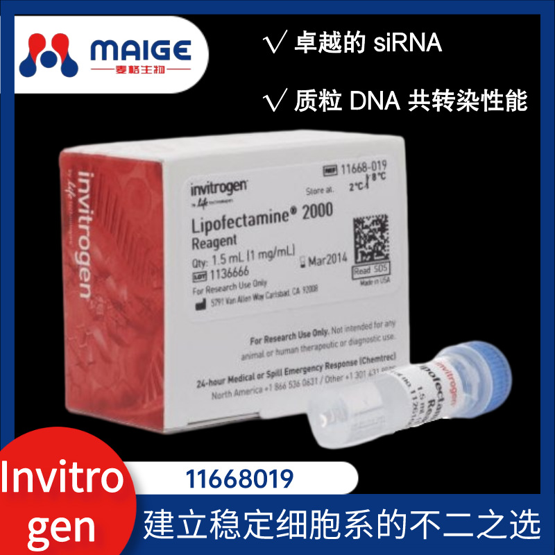 11668019 脂质体2000/Lip2000转染试剂 invitrogen 赛默飞