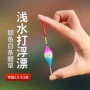 鲫鱼草鱼浮标