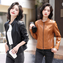 欧货春秋新款眞皮衣女短款个性线条感立领绵羊皮夹克修身显瘦外套