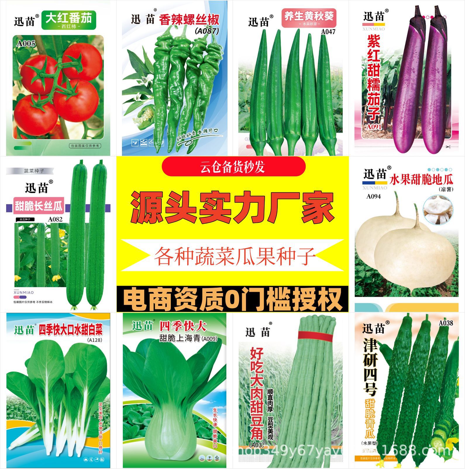 云仓直发源头批发四季蔬菜种子意达利甜脆玻璃生菜苦菊无斑油麦菜