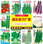 云仓直发源头批发春季蔬菜种子短丝瓜棱角丝瓜宝葫芦西葫芦凉薯
