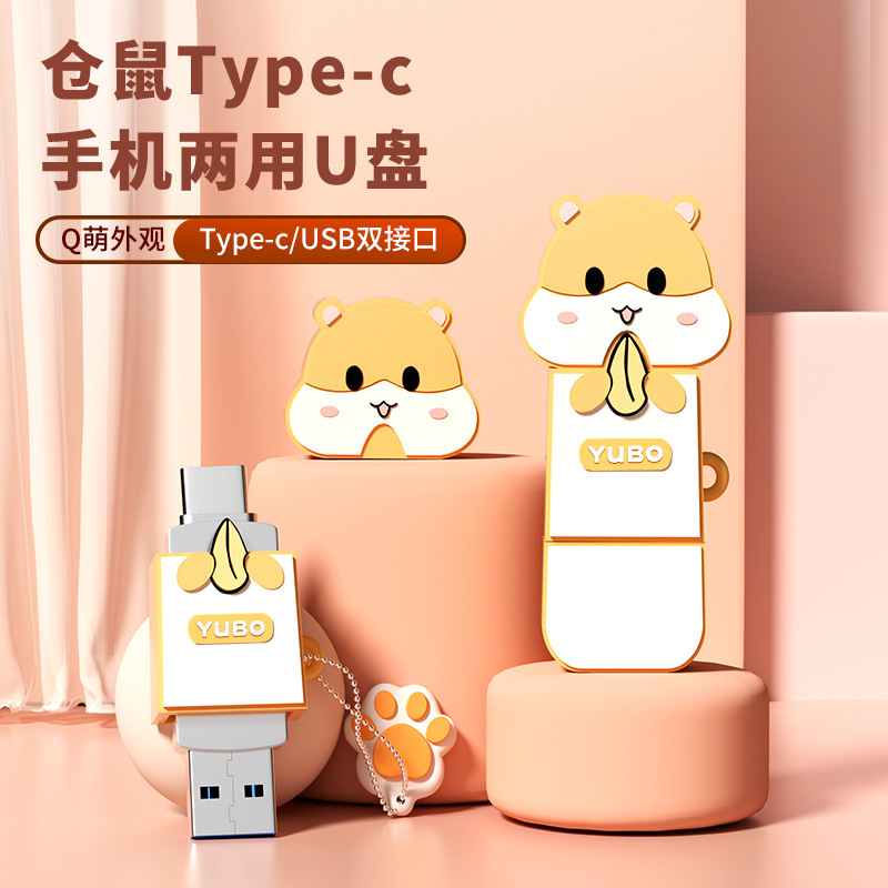 Special USB Flash Drive for Apple Mobile Phones, Dual-Purpose for Computer and Mobile Phone, Large-Capacity External Storage with iPhone Interface, Cute USB Drive