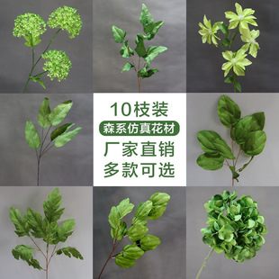 ɭϵ���滨10֧�b��픾Gֲ�~�ӻ�c�G�������~�b��߻��٘��~