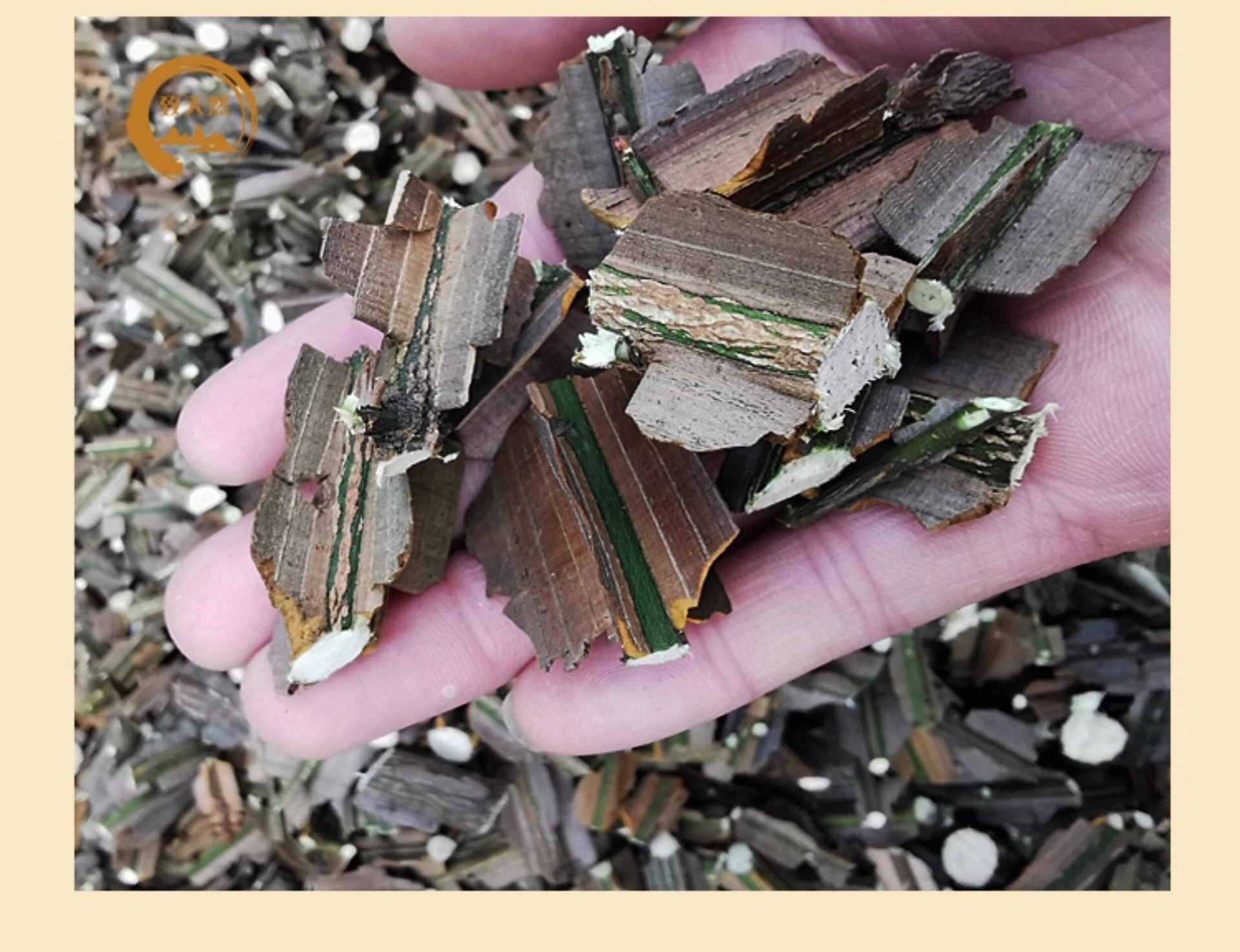 Gui Jian Yu Dried Herb 500g Euonymus alatus Twig Decoction Pieces Traditional TCM Herbal Supply specifications