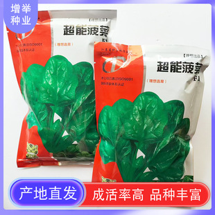 ���~���˷N���ļ��߲˷N�Ӵ�ȫ����˷N���_���N�Ӳ��˷N������