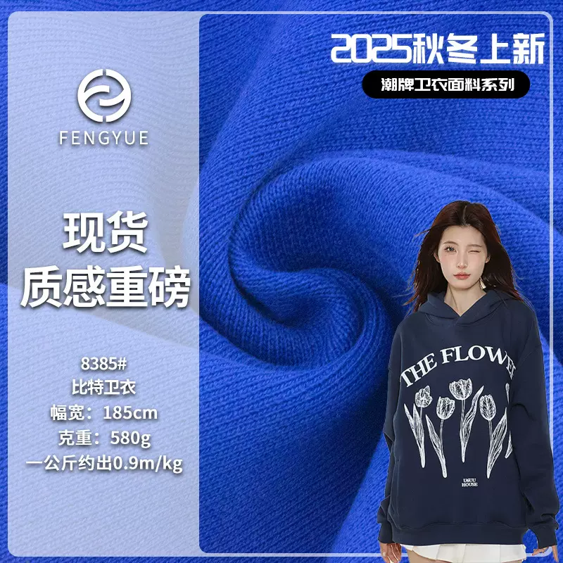 现货580g重磅精梳棉卫衣毛圈布 纯棉鱼鳞潮牌秋冬卫衣针织面料