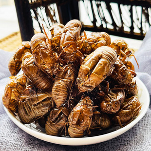 �s͑��ș��100��֪�˚�Ұ��֪�˺�Ƥ���s�����s��ș�ٰl