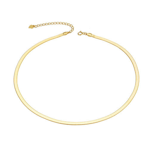 Hot selling S925 sterling silver blade chain flat snake chain European and American style fashion personality niche clavicle neck chain K gold plated ins style