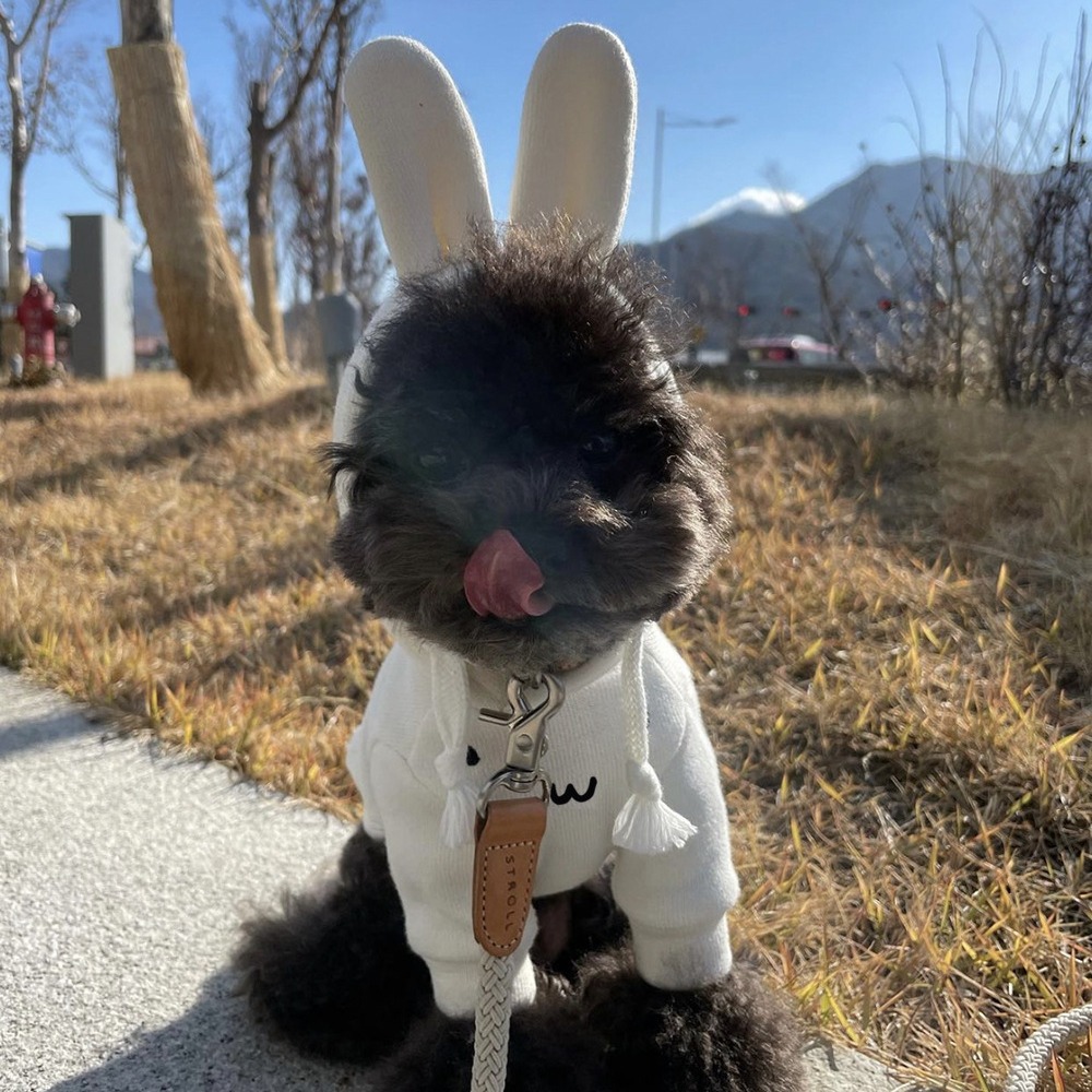 En stock INS invierno mascota perro gato conejo oso tridimensional oreja con Capucha forrada de lana engrosada ropa de baño de algodón cálido