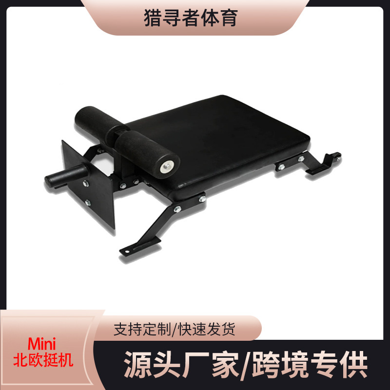 Mini Nordic Back Extension Machine for Home Use, Movable Roman Chair for Back Extension Training, Comprehensive Fitness Equipment, Lightweight and Portable