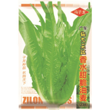 冯子龙厂家直售批零四季种植   广东快大无班香水甜脆油麦（238）