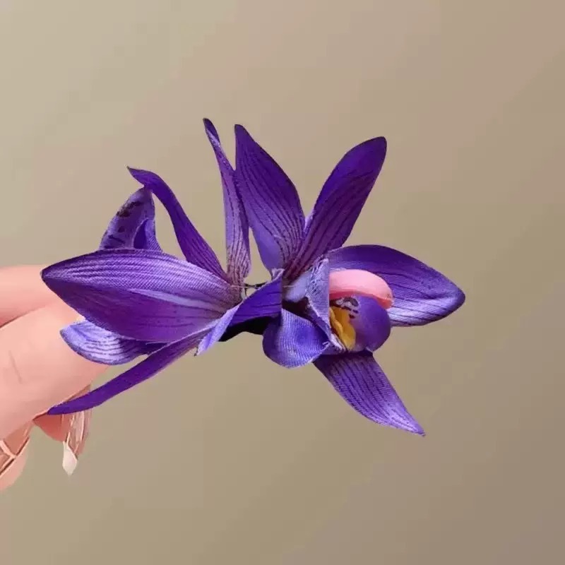 호접란 보라색