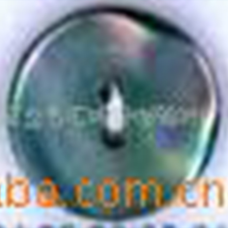 厂家供应灰色贝壳钮扣；配色贝壳纽扣。