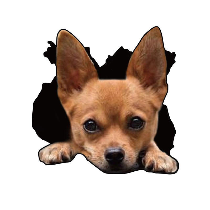 Cachorro animal 3D coche crack calcomanía coche puerta ventana mascota pegatina reflectante Cruz espejo Comercio electrónico Venta caliente