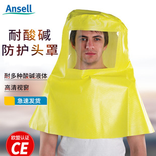 Microprotective 3000 Protective Hood Acid and Alkali Chemical Sulfuric Acid 508 Face Mask Laboratory Chemical Protective Hood
