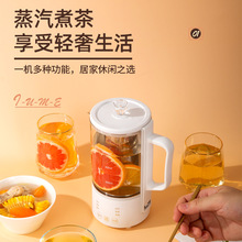 智能养生杯mini养生壶家用多功能小型煮茶器迷你便携烧水壶花茶壶