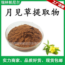 月见草提取物  月见草粉 比例萃取 量大从优水溶性 月见草浓缩粉
