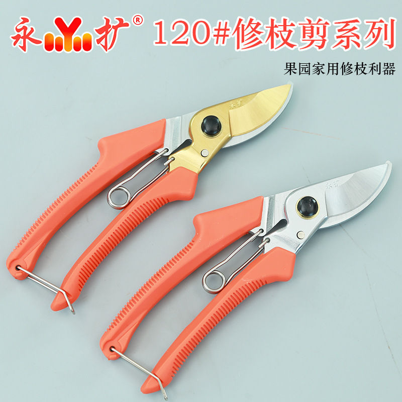 强力剪粗枝剪省力剪树枝剪修枝剪园艺剪SK5修枝剪苹果树梨树剪刀