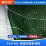 加筋抗冲植物生物草籽