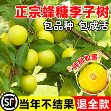 ���ڷ������Ә���޽��ش�����������ϱ����ļ��Nֲ���Ԯ���Y��