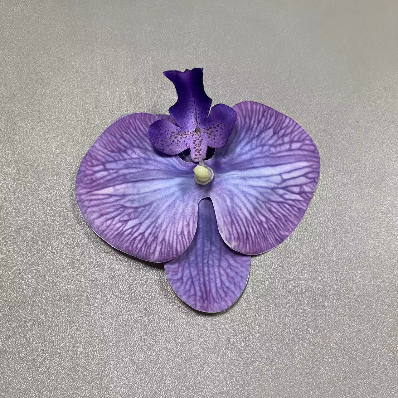 24호