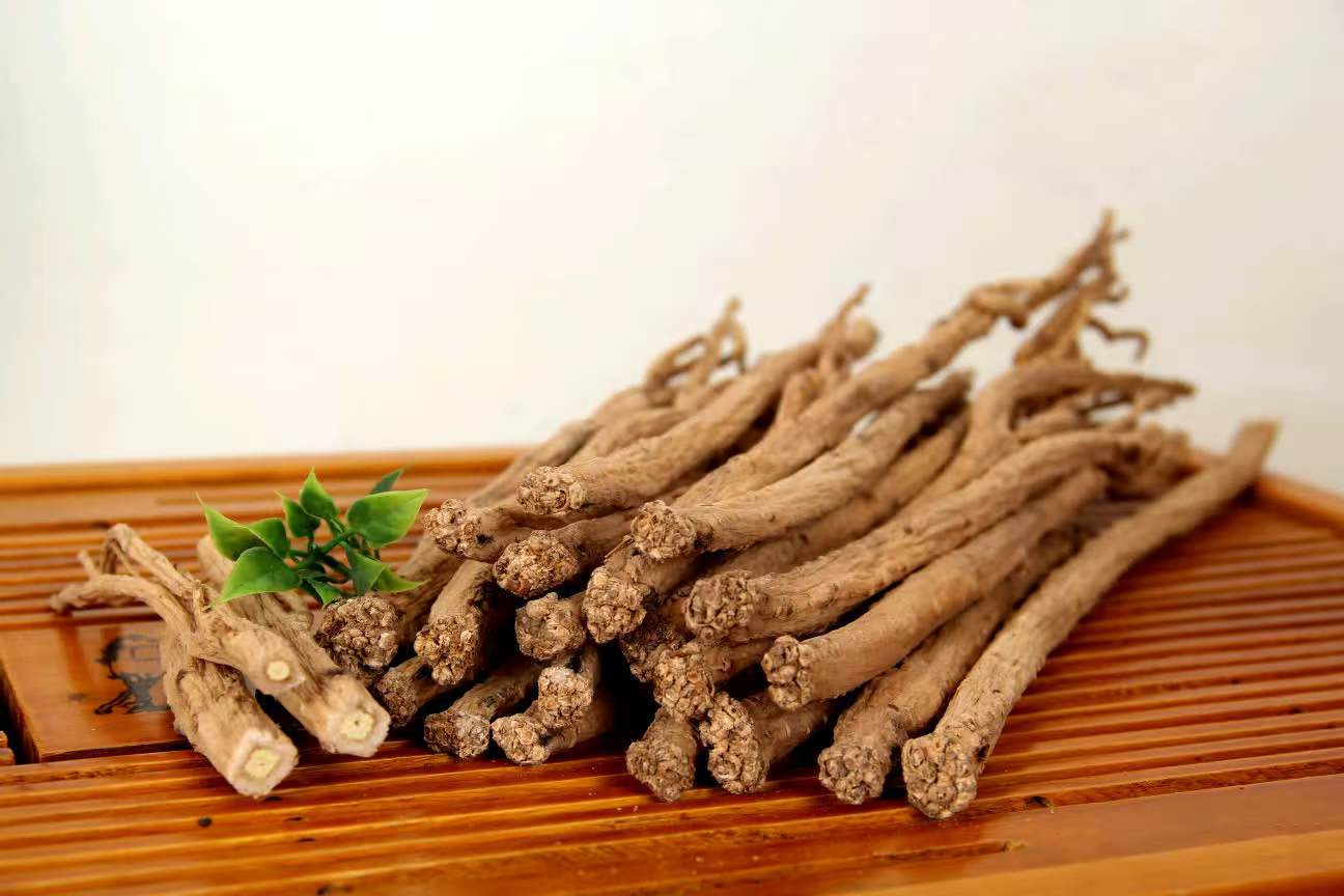 Gansu-Origin Codonopsis Root, New Stock, Sulfur-Free, Sun-Dried, Authentic Selected Chinese Medicinal Herb, Medium-Sized Codonopsis Root detail image