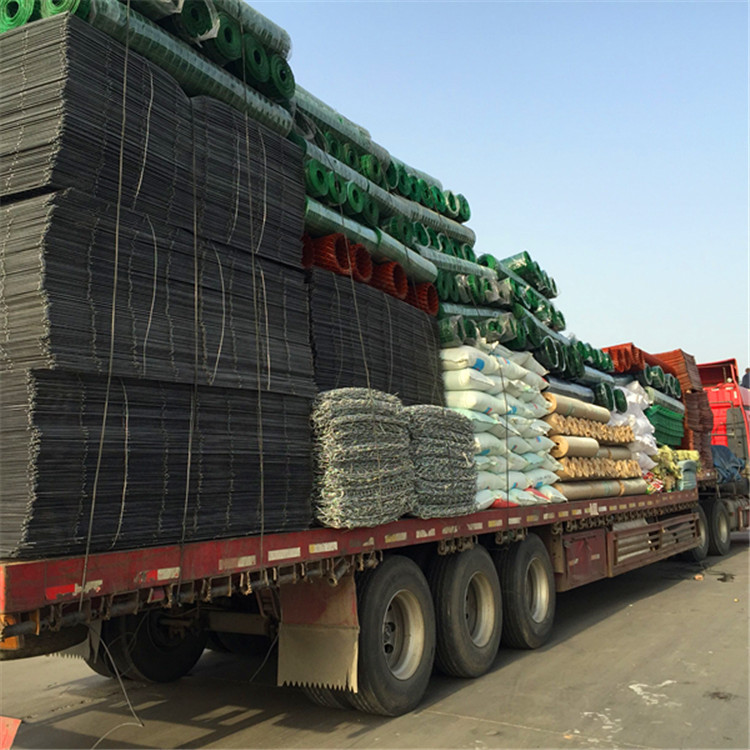 厂家直销  荷兰网 果园围栏网 浸塑电焊网 养殖网 护栏网 铁丝网