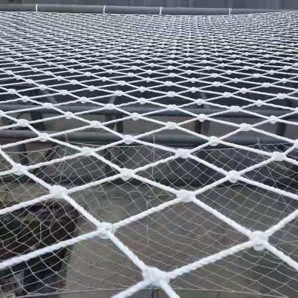 建筑安全网尼龙网工业涤纶安全防护网防坠网工地隔离网水平网加厚