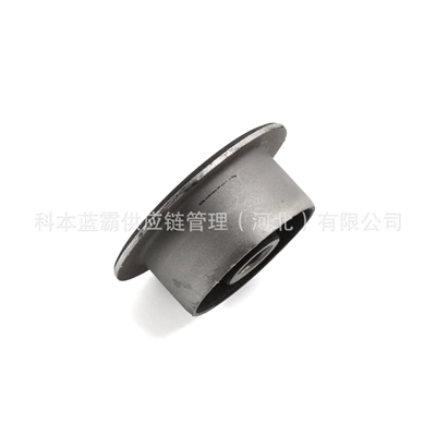 Leaf Spring Bushing Iron – Rear axle