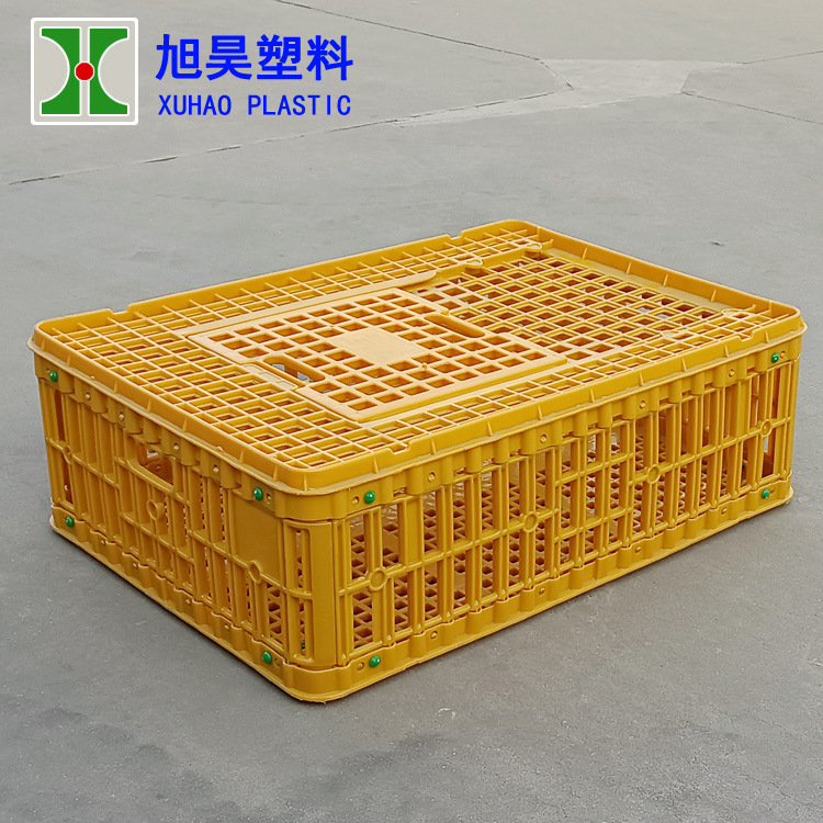 青年鸡运输笼 鸽用周转箱 抗压耐用 73*54.5*24cm 鸡鸭运输筐