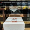 R1006-300ml