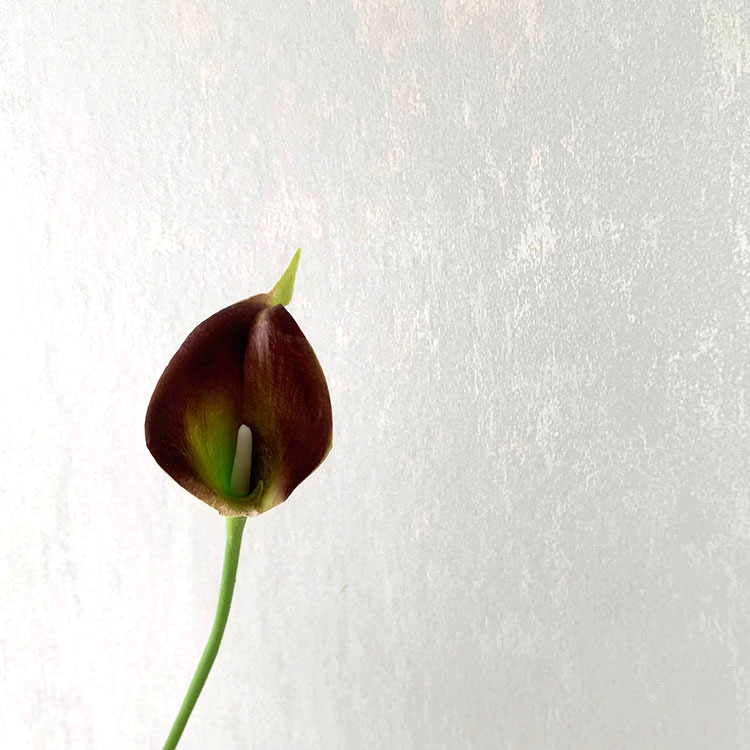 Flor artificial pu sentir Calla Lily Sala decoración del hogar diseño hogar a juego novia celebración flor