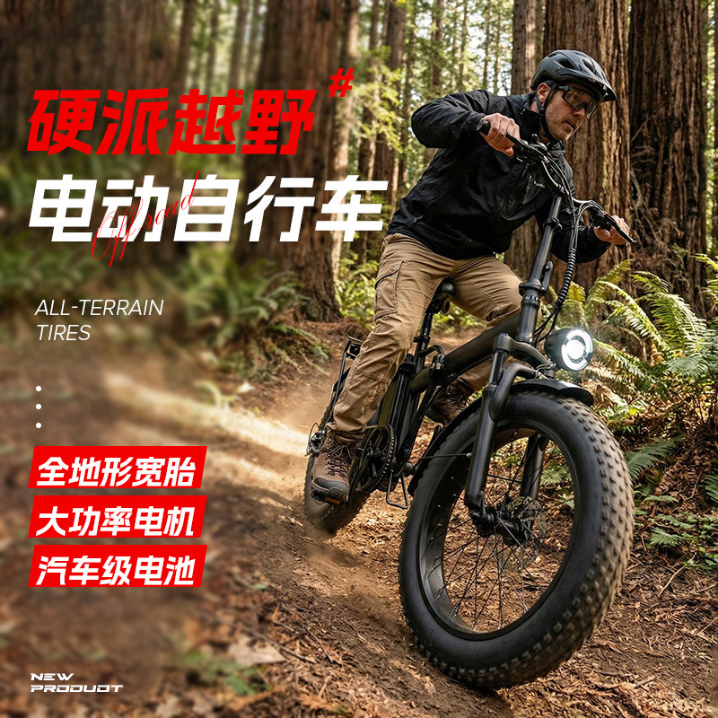 Buklama elektr velosiped, 48V 700W, 20 dyuym yog' shinalar, cross-country, eksport