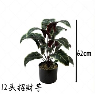 ���W������ؔ�����Կ͏d�҃��b@���쾰�W�tֱ���g�͏dֲ��