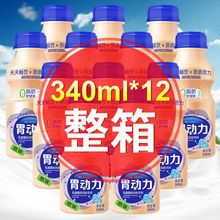 包邮原味胃动力乳酸菌饮品340ml*6瓶12瓶酸奶牛奶益生菌饮料整箱