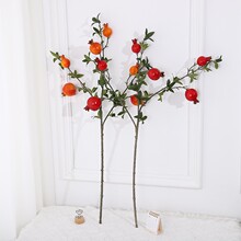 ����ˮ��֦�ɼٻ�������b�ʯ����O������֦��������٘�֦��