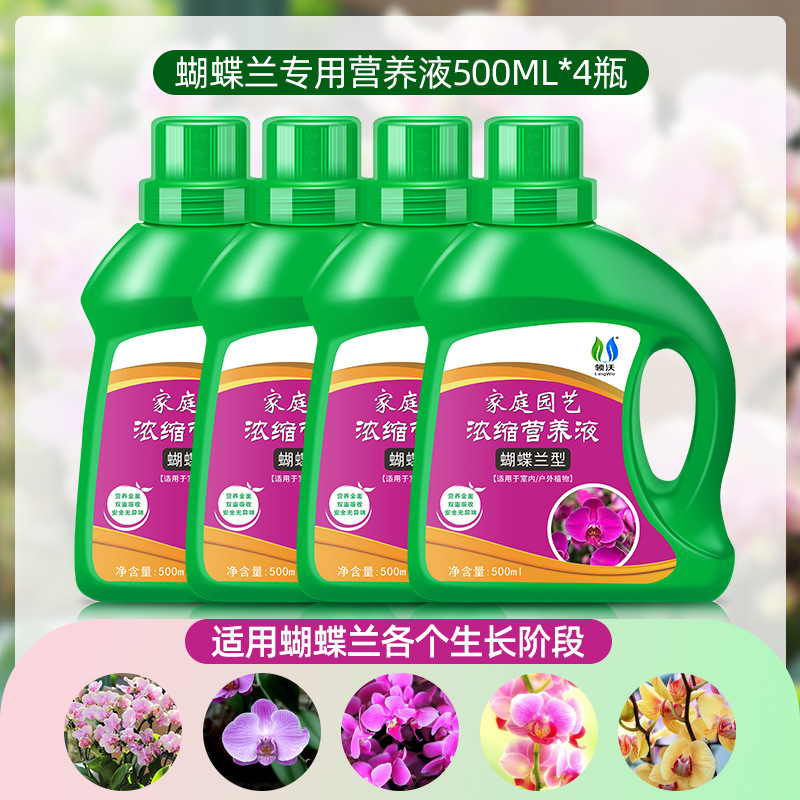 Phalaenopsis Nutrition Liquid 500ml * 4ขวด} [ส่งเสริมดอกไม้และใบไม้สีเขียว]