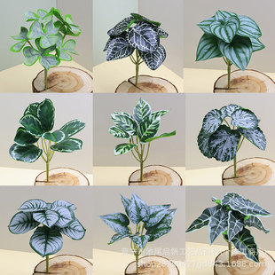 ����Gֲֲ�С �~�Ӱ����G�}�~�ٻ����滨����쾰�������l